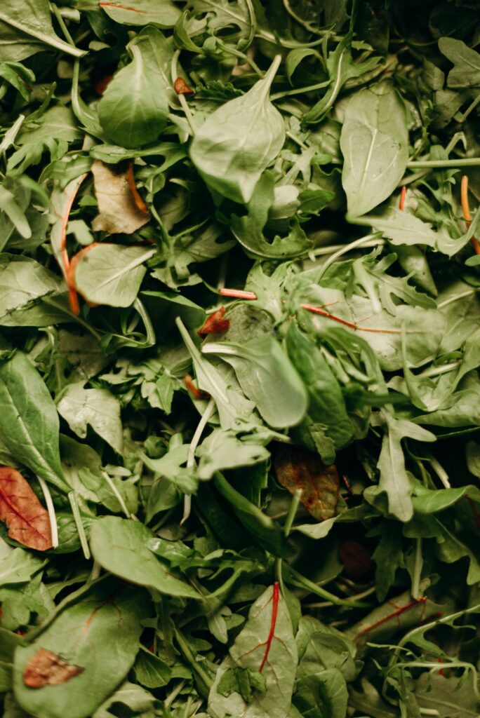 ferro alimentazione vegetale